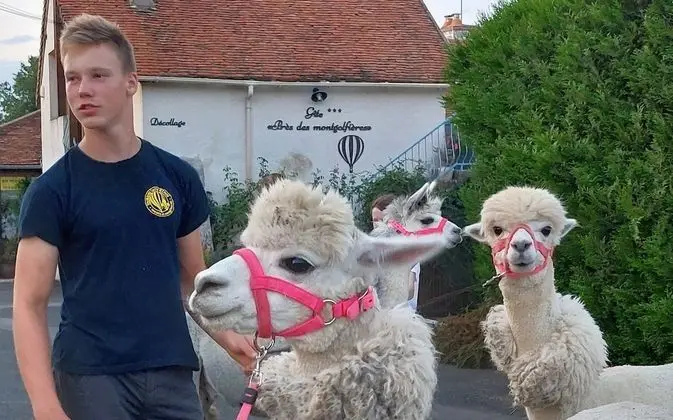 Family Stüdyo, Özel Banyo, Avlu Manzaralı (Le Studio)