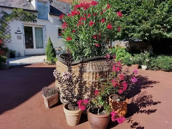 Family Stüdyo, Özel Banyo, Avlu Manzaralı (Le Studio)