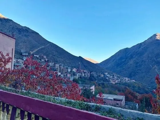 Panoramic Oda