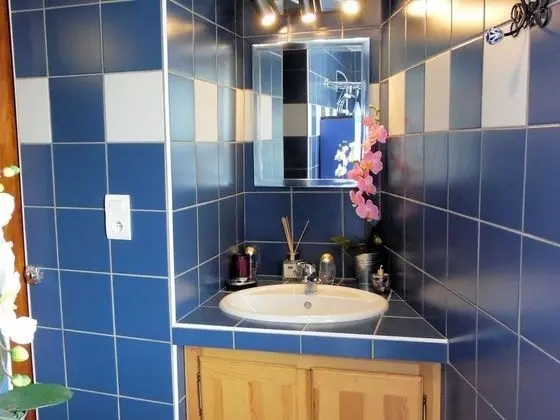 Comfort Kır Evi, Banyolu/Duşlu