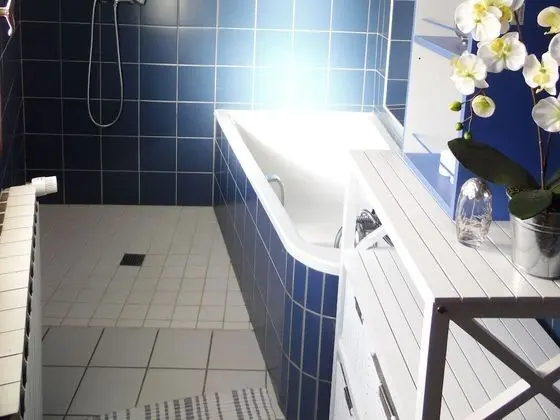 Comfort Kır Evi, Banyolu/Duşlu