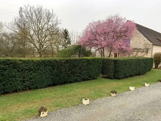 Superior Kır Evi (Gite 3 chambres -La Ferme)