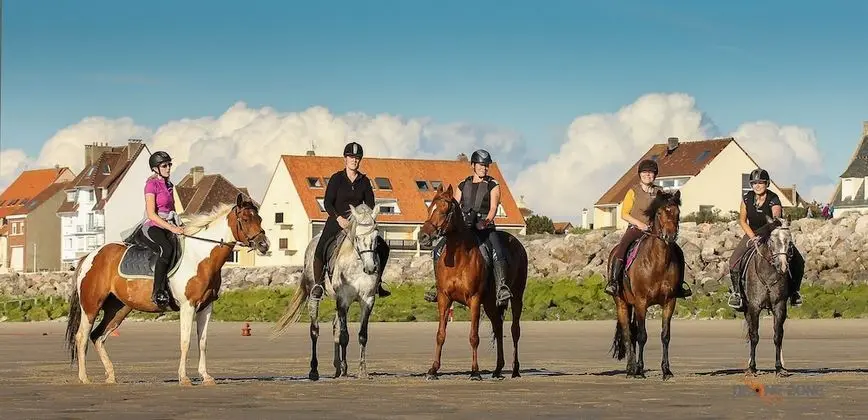 Traditional Ev, Banyolu/Duşlu (La Pommeraie)