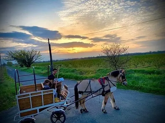 Kır Evi, Banyolu/Duşlu, Avlu Manzaralı