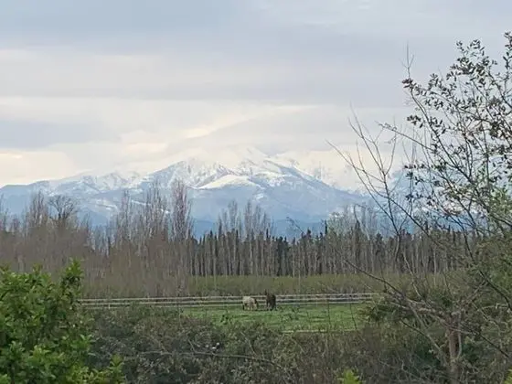 Kır Evi, Banyolu/Duşlu, Avlu Manzaralı