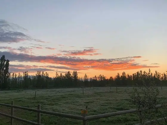 Kır Evi, Banyolu/Duşlu, Avlu Manzaralı