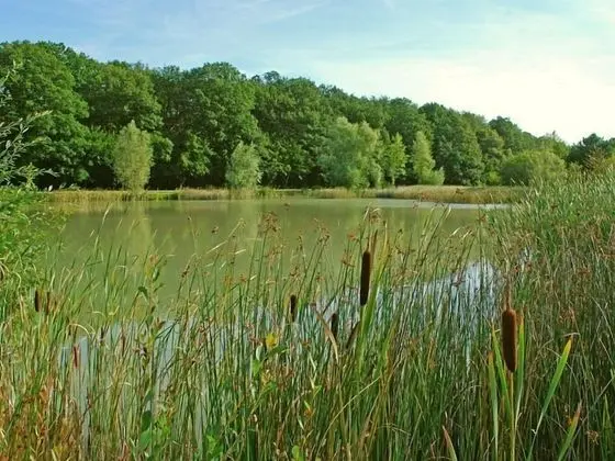 Dört Kişilik Oda, Banyolu/Duşlu, Park Manzaralı