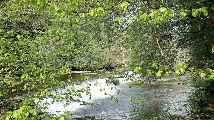 Family Kır Evi, Özel Banyo, Bahçe Manzaralı (GÎTE MONET)