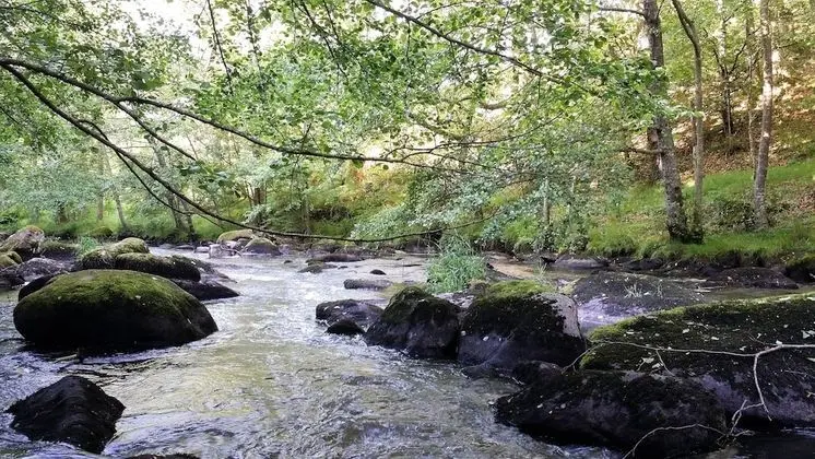 Family Kır Evi, Özel Banyo, Bahçe Manzaralı (GÎTE MONET)
