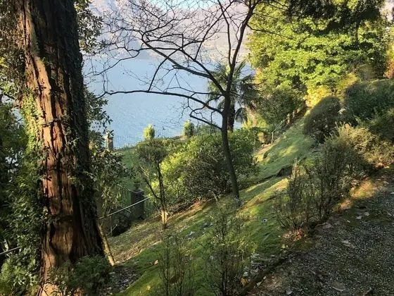 Apart Daire, Birden Çok Yatak