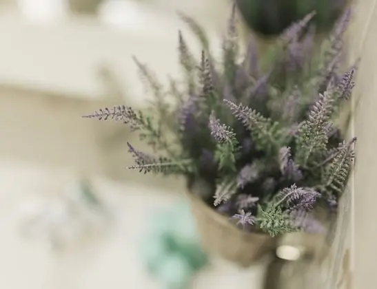 Comfort Üç Kişilik Oda, Banyolu/Duşlu (camera 1)