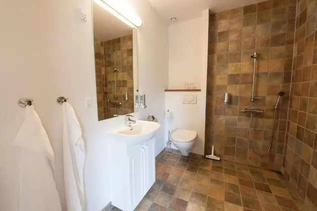 Superior Tek Büyük Yataklı Oda (Annex)