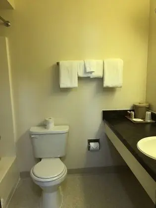 Standard Tek Büyük Yataklı Oda, 2 Çift Kişilik Yatak