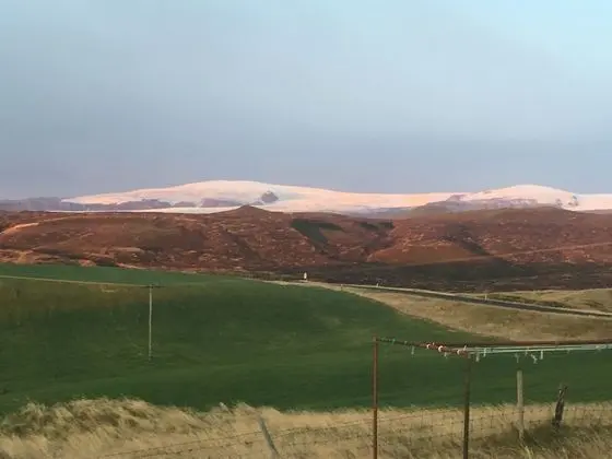 Family Oda (With Bunk Bed)