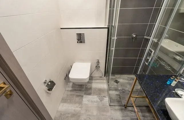 Superior Tek Büyük veya İki Ayrı Yataklı Oda
