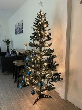 Apart Daire, Özel Banyo (4 Bed Apartment)
