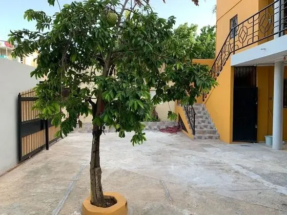Junior Oda, 1 Büyük (Queen) Boy Yatak, Danışma, Şehir Manzaralı