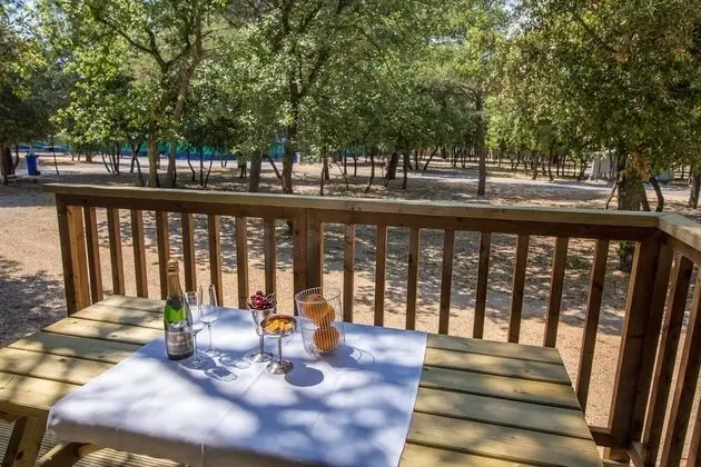 Family Çadır, 2 Yatak Odası, Özel Banyo, Park Manzaralı