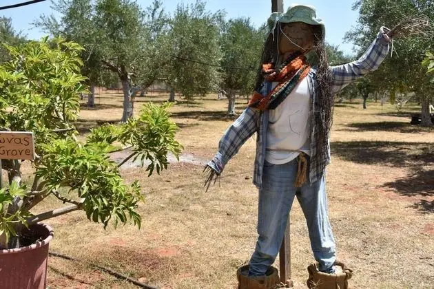 Kır Evi, 1 Büyük (Queen) Boy Yatak