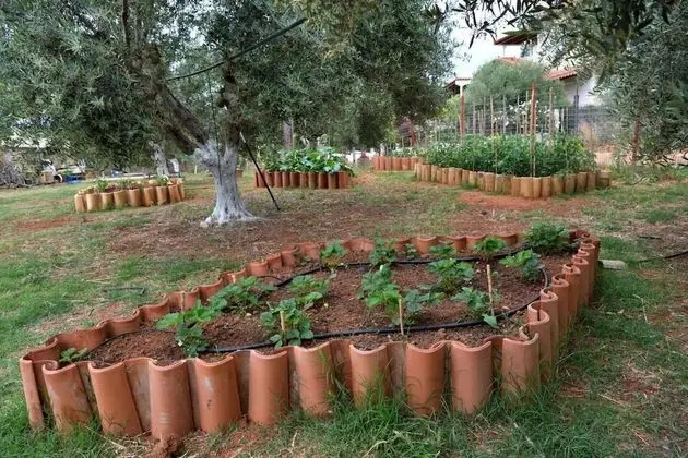 Kır Evi, 1 Büyük (Queen) Boy Yatak