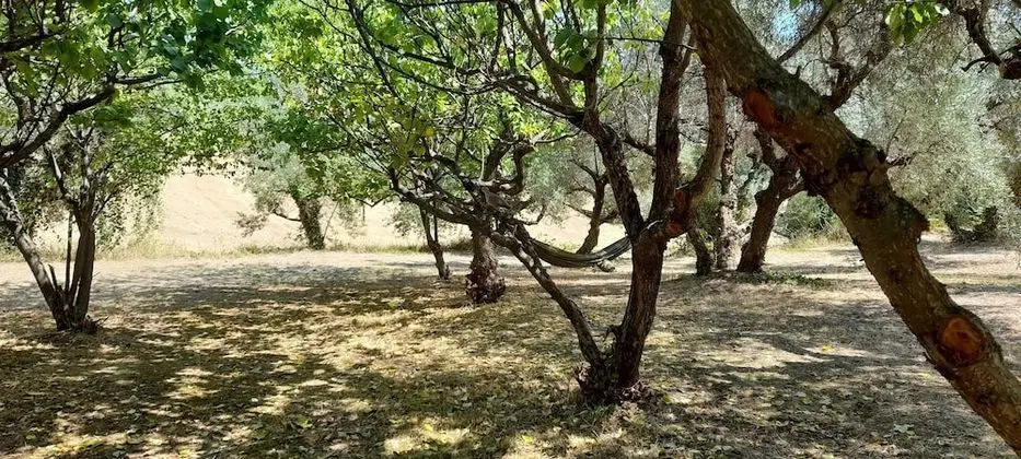 Kulübe, Birden Çok Yatak