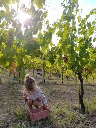 Kulübe, Birden Çok Yatak