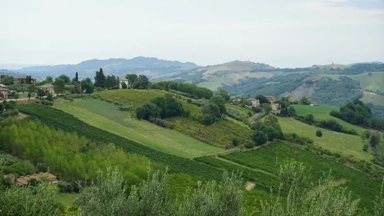 Kulübe, Birden Çok Yatak