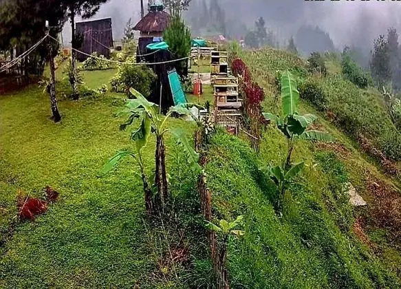 Panoramic Kulübe, 1 Yatak Odası, Sigara İçilebilir, Dağ Manzaralı