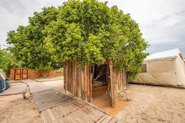 Ocean Front PRIMERA LINEA (3) Personas