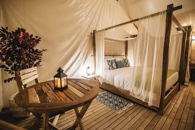 Luxury Çadır