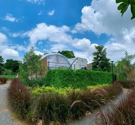 Geodesic Dome