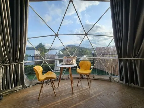 Geodesic Dome
