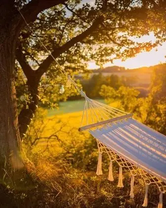 Kulübe, Birden Çok Yatak