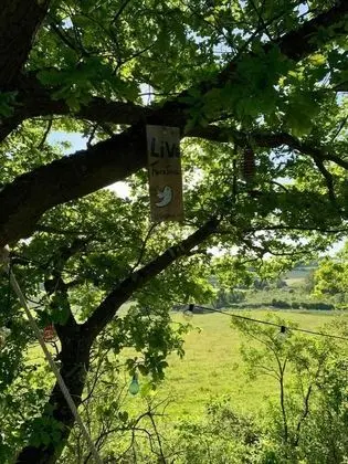 Kulübe, Birden Çok Yatak