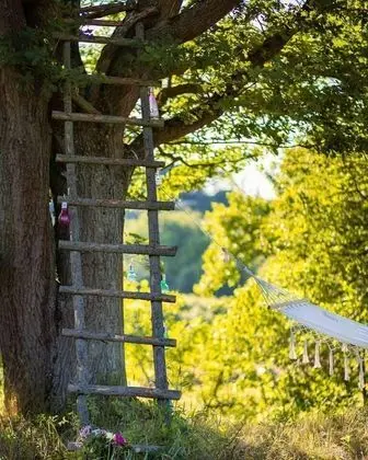 Kulübe, Birden Çok Yatak