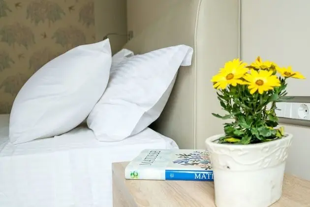 Comfort Ev, 1 Çift Kişilik Yatak ve Çekyat, Sigara İçilmez, Bahçe Manzaralı