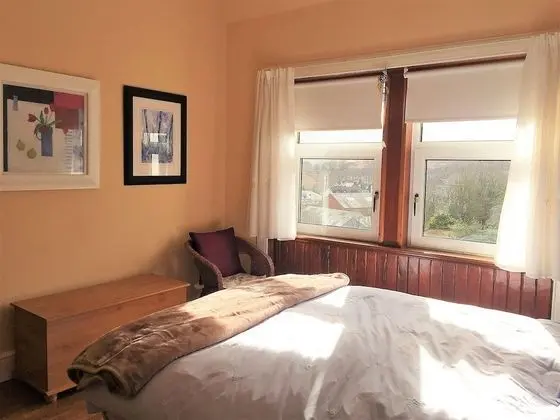 Comfort Tek Büyük Yataklı Oda, Bahçe Manzaralı