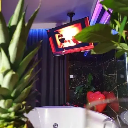 Executive Apart Daire, 1 En Büyük (King) Boy Yatak ve Çekyat, Avlu Manzaralı