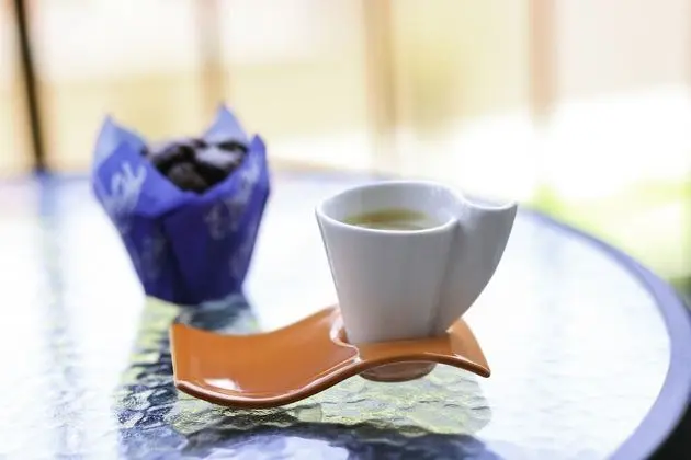 Superior Stüdyo Süit, Avlu Manzaralı (117)