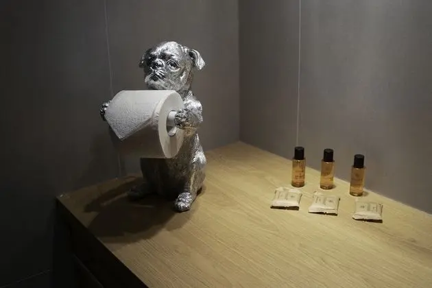 Superior Stüdyo Süit, Avlu Manzaralı (117)