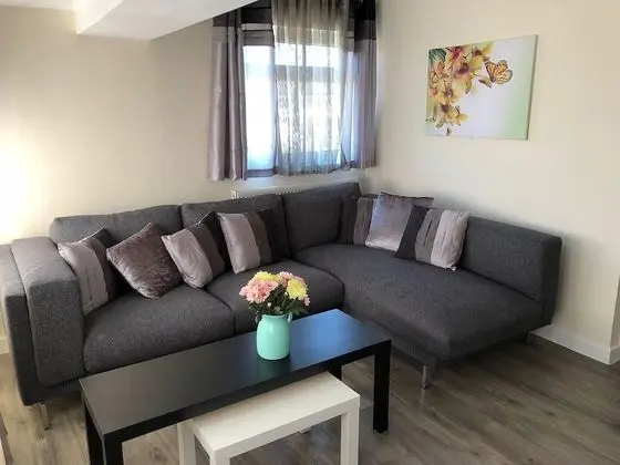 Deluxe Apart Daire, Birden Çok Yatak, Sigara İçilmez
