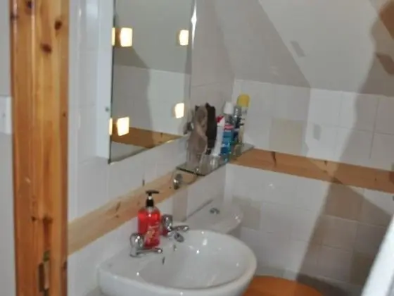 Standard Tek Büyük Yataklı Oda, Banyolu/Duşlu