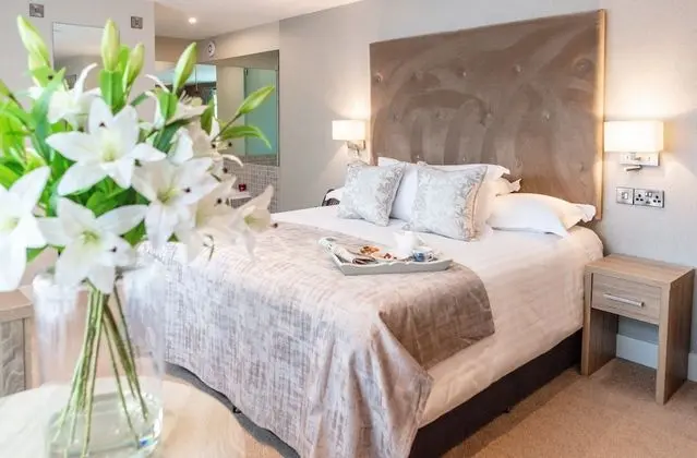 Superior Tek Büyük veya İki Ayrı Yataklı Oda