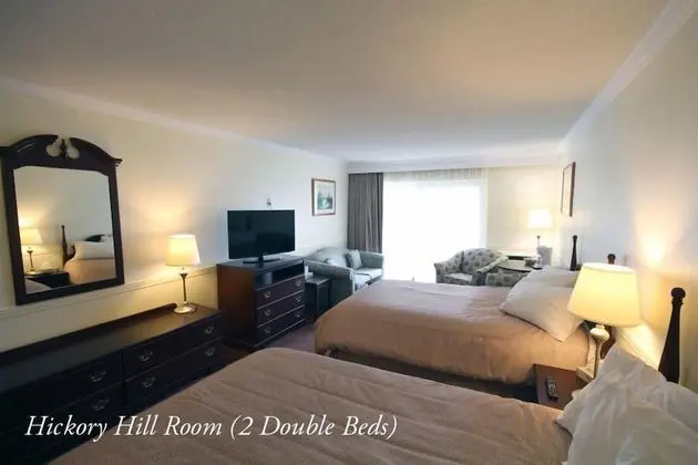 Deluxe Oda, Birden Çok Yatak (Riverview)