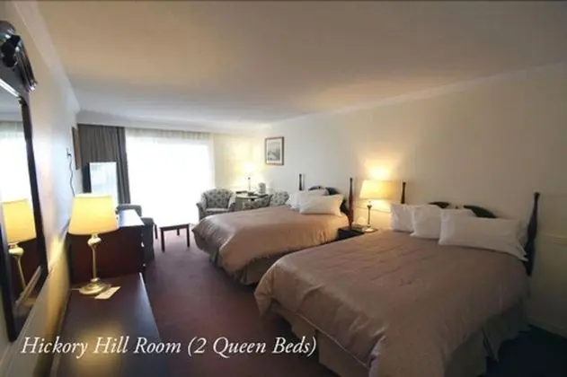Deluxe Oda, Birden Çok Yatak (Riverview)