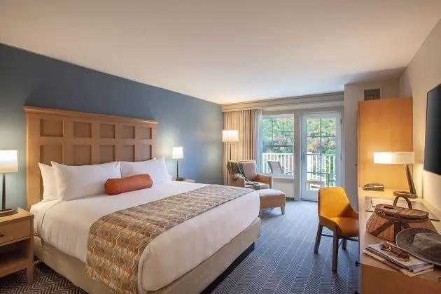 Standard Oda, 1 En Büyük (King) Boy Yatak, Dağ Manzaralı (Premium King Room)