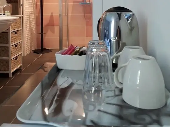 Comfort Tek Büyük Yataklı Oda, Banyolu/Duşlu (Jardin)