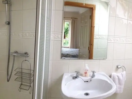 Standard Tek Büyük Yataklı Oda, Banyolu/Duşlu