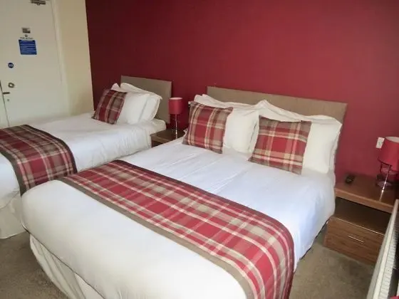 Tek Büyük Yataklı Oda, Banyolu/Duşlu (with Extra Bed - Room 1)