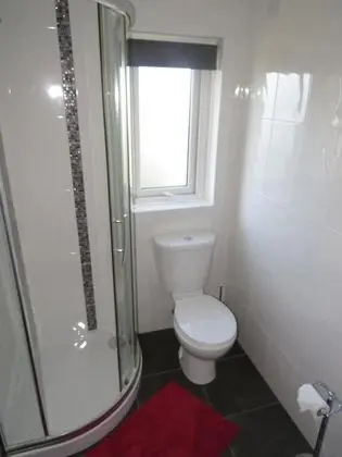 Tek Büyük Yataklı Oda, Banyolu/Duşlu (with Extra Bed - Room 1)